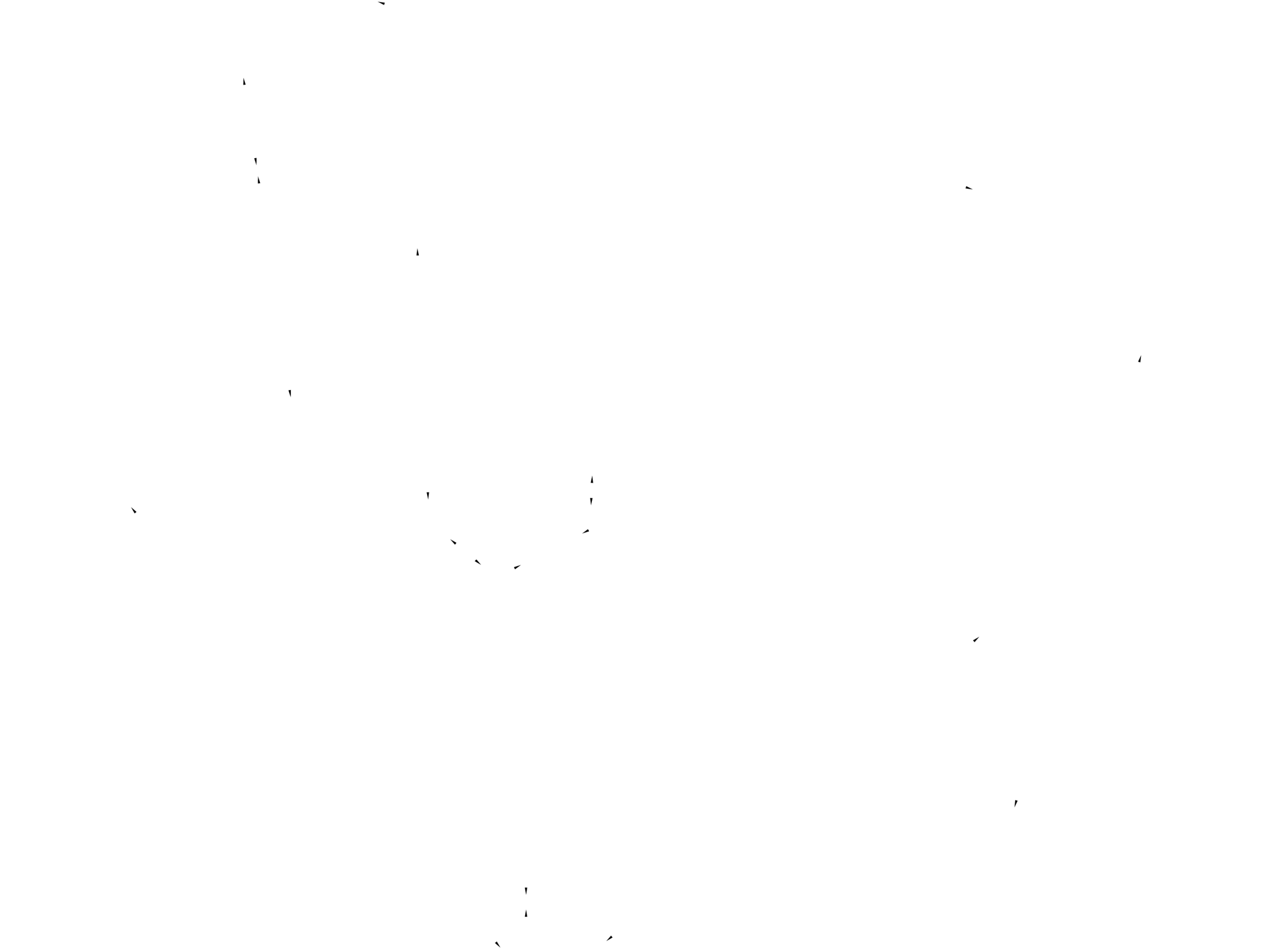 taajeer drawing 01 01